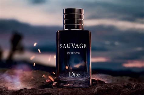 is dior sauvage long lasting|which sauvage smells the best.